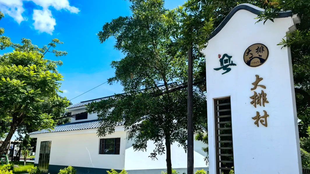 大排村生活污水负压收集项目入选2024年度村镇水环境治理优秀案例